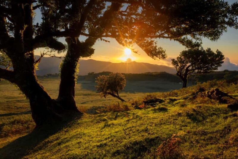 Fanal Assobiadores Trail - Who Is This Tour Best For?