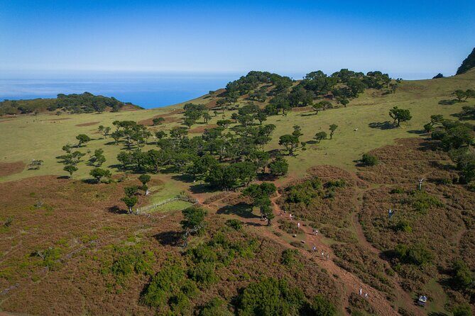 Fanal & Porto Moniz - West Madeira Tour - Frequently Asked Questions