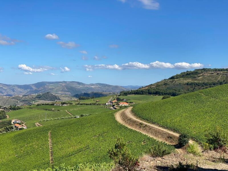 Fancy Douro from Porto - private walk + lunch + wines - Who Will Love This Tour?