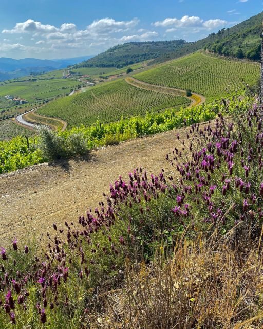 Fancy Douro from Porto - private walk + lunch + wines - FAQs