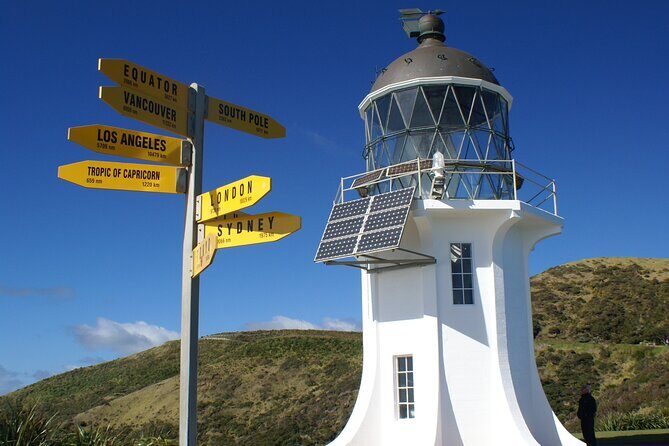 Far North New Zealand Tour Including 90 Mile Beach and Cape Reinga from Paihia - Final Thoughts
