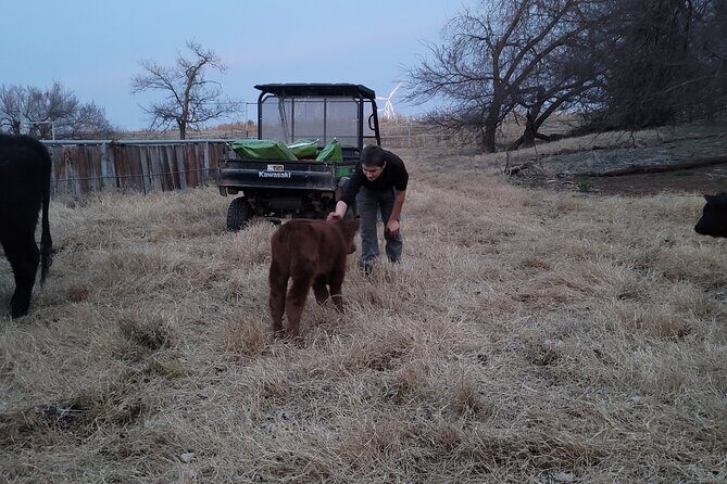 Farm Adventure Experience in Red Hill Ranch - What to Expect at Red Hill Ranch’s Farm Adventure Experience