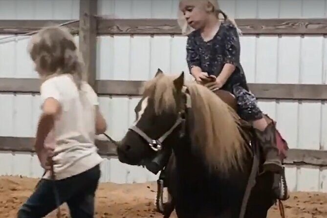 Farm Adventure Experience in Red Hill Ranch - Final Thoughts