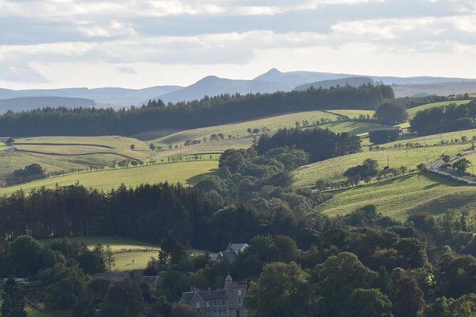 Farm Attraction - Highland Cows, Animal Feeding, Wholesome fun! - Exploring the Itinerary in Detail