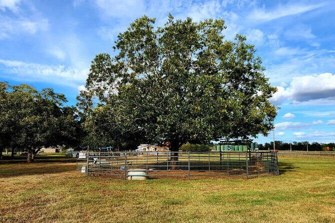 Farm Day Pass General Admission - The Sum Up