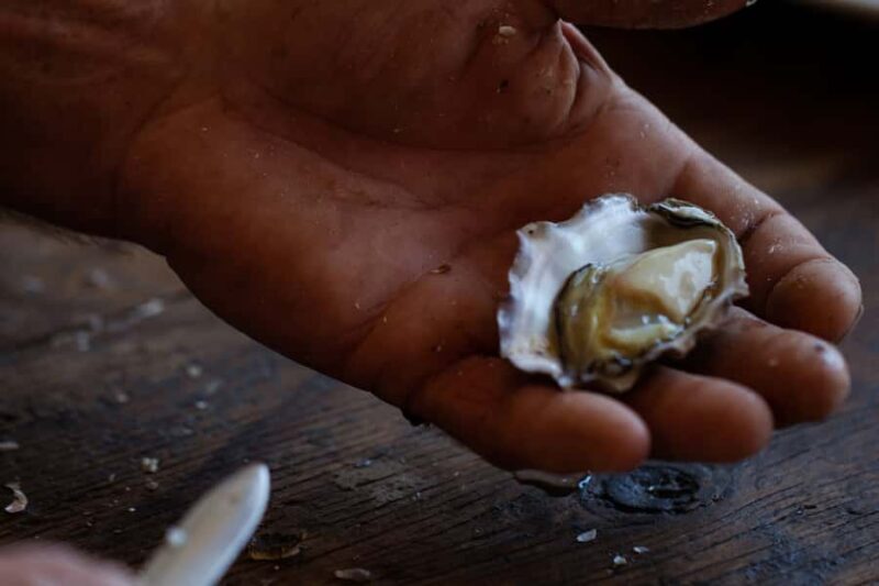Farm to Plate - Sydney's Oyster Heartland - FAQ
