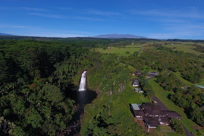 Farm to Table Cooking Class at Kulaniapia Falls - Review Highlights from Past Travelers
