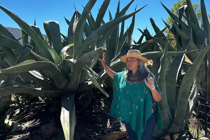 Farm to Table Cooking Experience in San Miguel - An In-Depth Look at the Farm to Table Experience