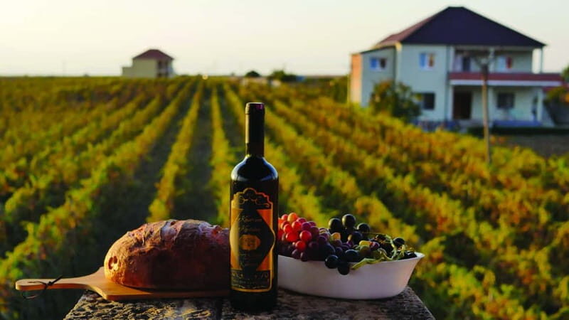 Farm-to-Table Escape: Discover Mrizi i Zanave - Key Points