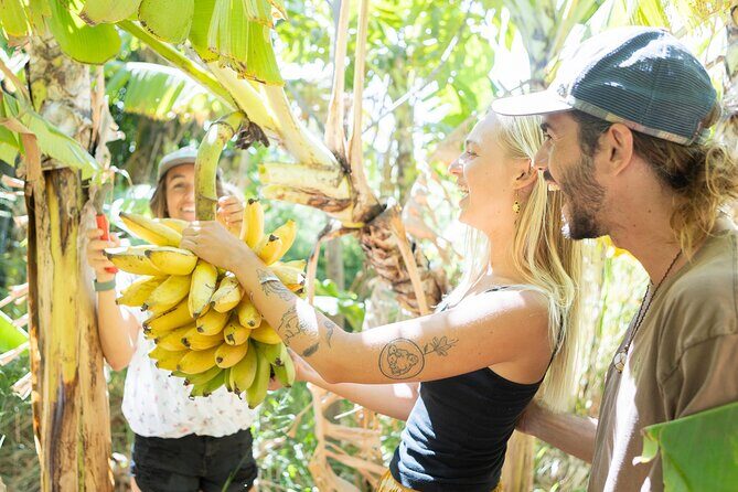 Farm to Taco: A Farm to Table Cooking Class - What to Expect from the Farm to Taco Experience