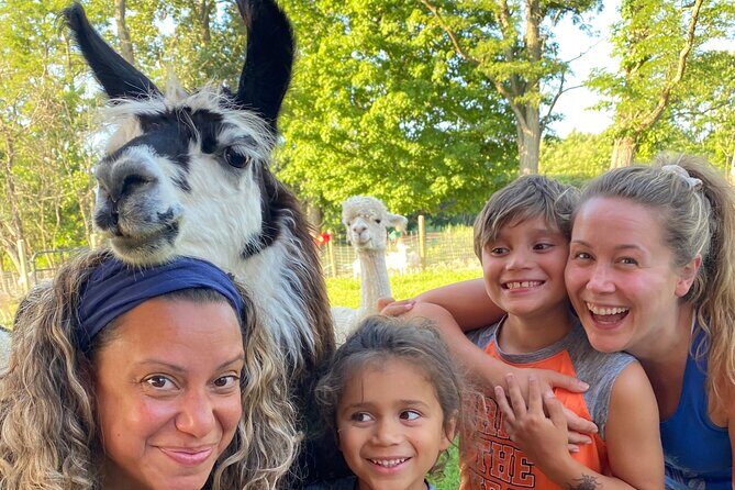 Farm Tour at Clover Brooke Llama/Alpaca/Goat Farm - The Guide’s Role