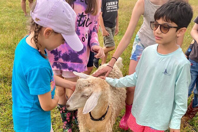 Farm Tour at Clover Brooke Llama/Alpaca/Goat Farm - Group Size and Atmosphere