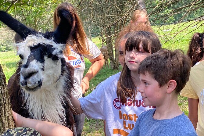 Farm Tour at Clover Brooke Llama/Alpaca/Goat Farm - Timing and Weather