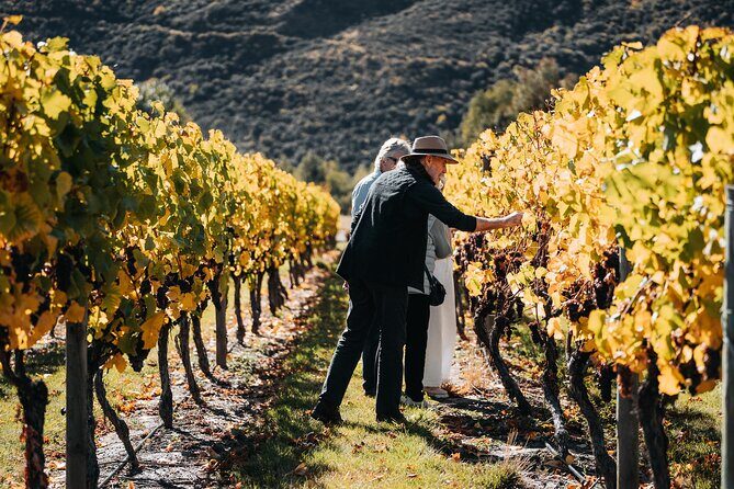 Farm & Wine Experience Fun Experience from Queenstown New Zealand - An In-Depth Look at the Queenstown Farm & Wine Experience