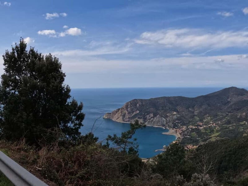 Farmhouse aperitif + electric bike tour in Monterosso al Mare - What We Loved and What to Keep in Mind