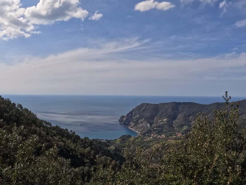 Farmhouse aperitif + electric bike tour in Monterosso al Mare - Who Is This Tour Best For?