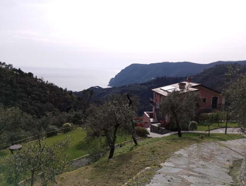 Farmhouse aperitif + electric bike tour in Monterosso al Mare - FAQs