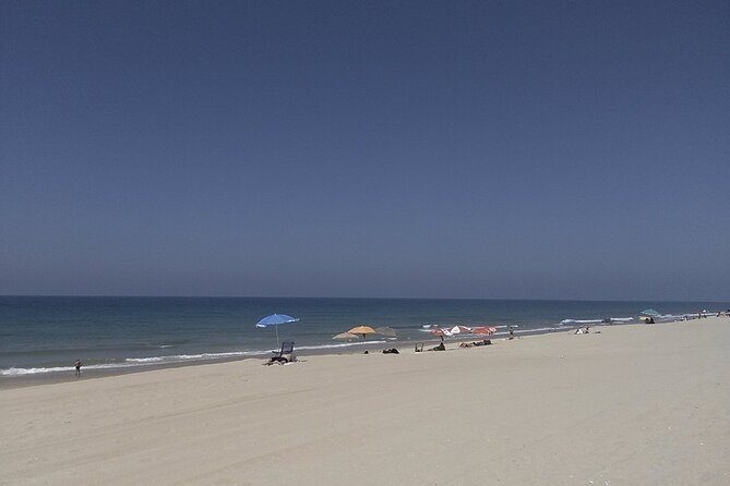 Faro City and Beach Tour on Electric Tuk tuks - What You Can Expect from the Tour