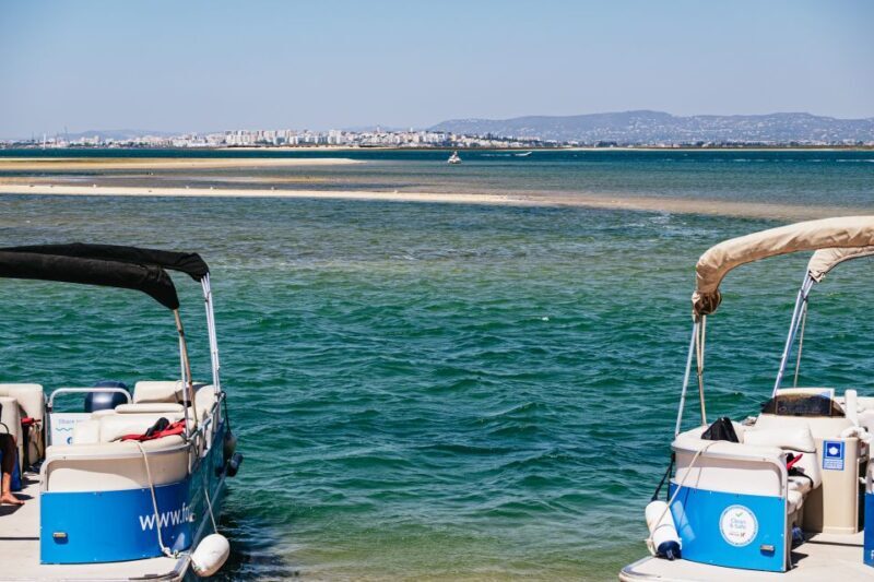 Faro: Deserta Island and Farol Island Catamaran Boat Trip - Who Will Enjoy This Tour?