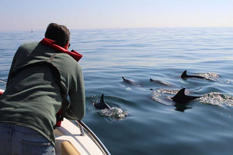 Faro: Dolphin and Marine Life Watching Boat Tour - Who Will Love This Tour?