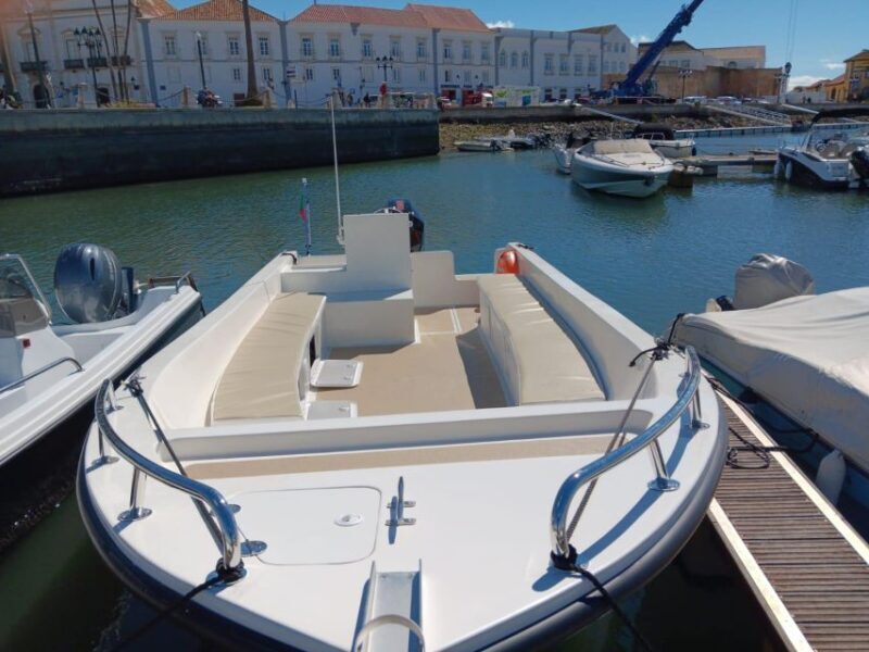 Faro: Dolphin and Marine Life Watching Boat Tour - FAQs