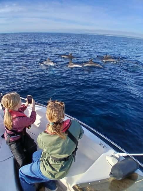 Faro: Funtastic Dolphin Watching Boat Tour - Whats Included and Whats Not