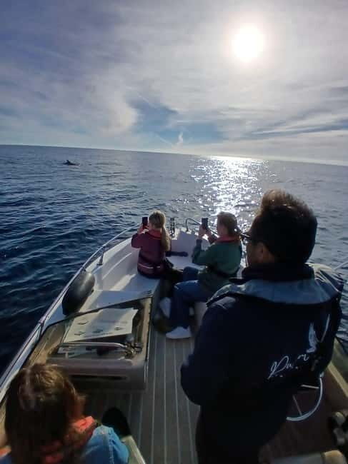 Faro: Funtastic Dolphin Watching Boat Tour - Who Should Consider This Tour