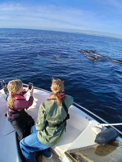 Faro: Funtastic Dolphin Watching Boat Tour - FAQ