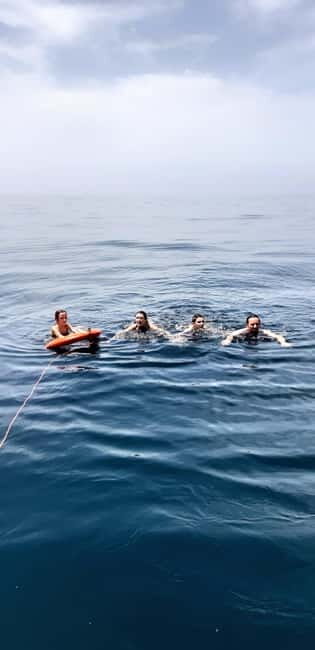 Faro: Half Day Private Tour in Ria Formosa Natural Park - Who Should Consider This Tour?