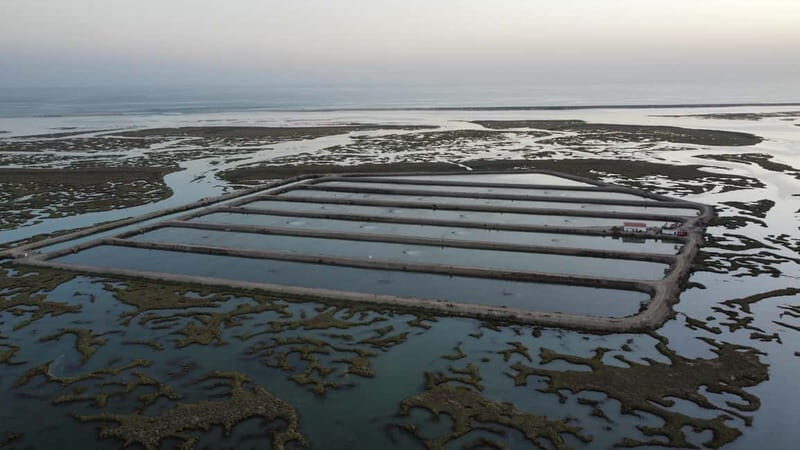 Faro: Half Day Private Tour in Ria Formosa Natural Park - FAQs