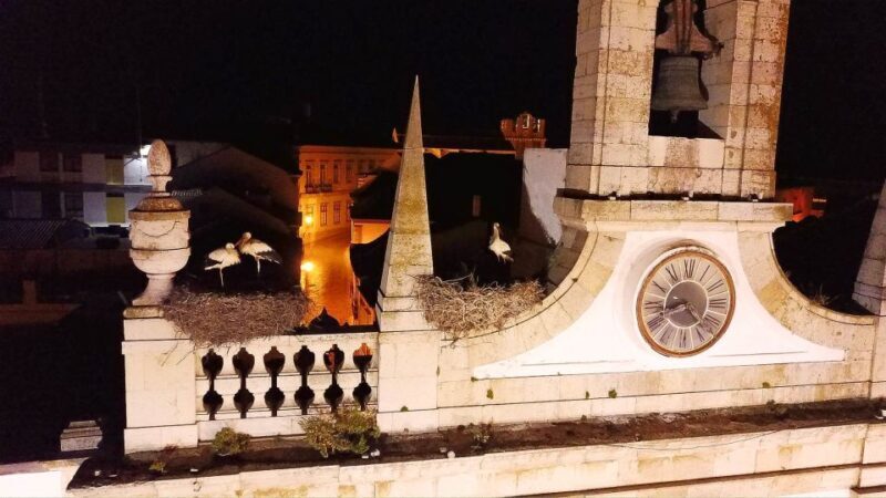 Faro: Night Segway Tour with Cocktails - What Could Be Better