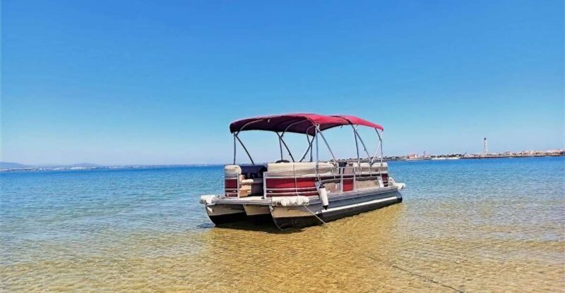 Faro: Private Ria Formosa Faro Islands Boat Tour - Key Points