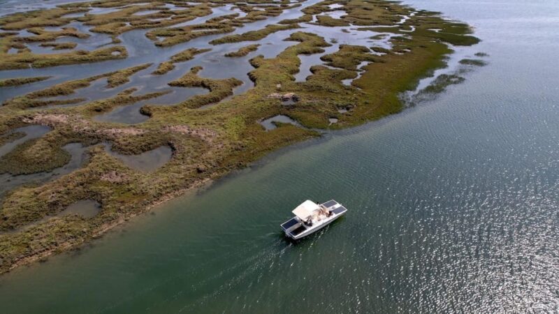 Faro: Ria Formosa Boat Tour by Eco-Friendly Solar Boat - Exploring the Ria Formosa on a Solar-Powered Boat