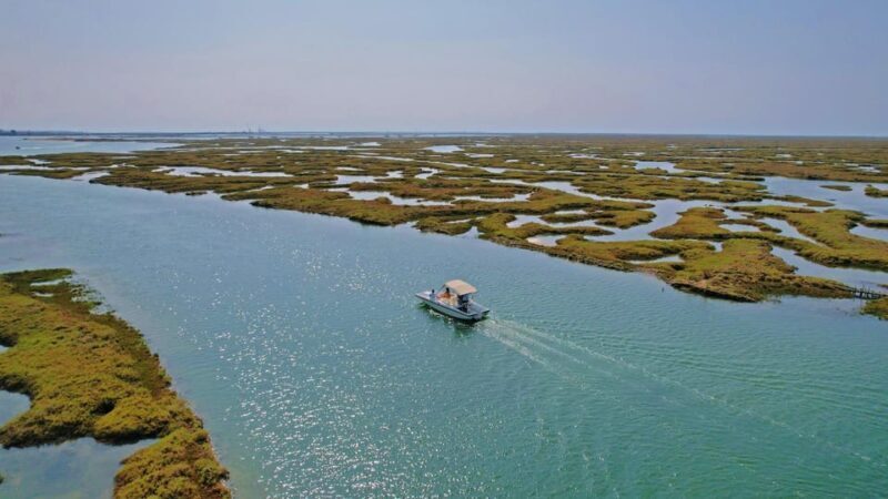 Faro: Ria Formosa Boat Tour by Eco-Friendly Solar Boat - Why Travelers Love This Tour
