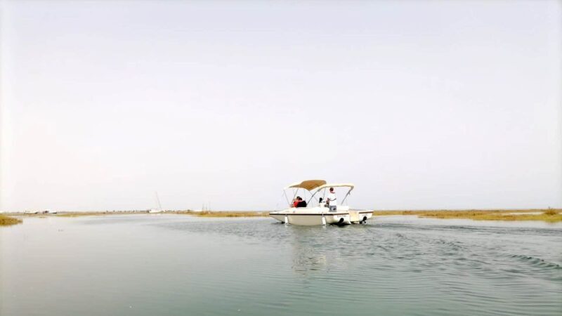 Faro: Ria Formosa Boat Tour by Eco-Friendly Solar Boat - Final Thoughts: Is It Worth It?