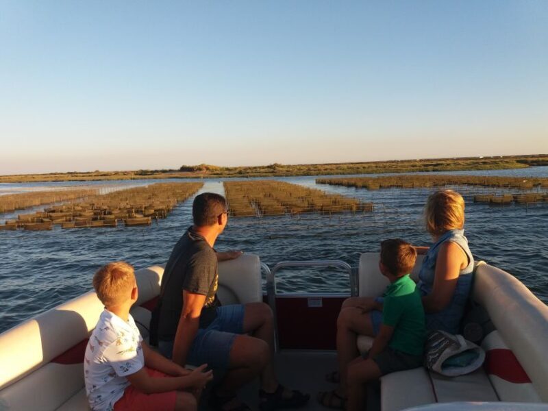 Faro: Ria Formosa Boat Tour - Whats Included and Whats Not