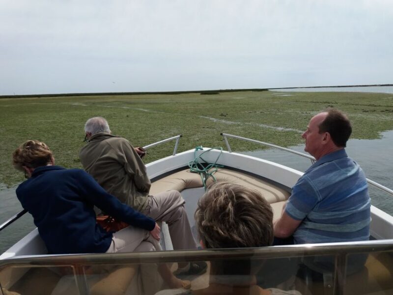 Faro: Ria Formosa Boat Tour - Practical Tips for Your Tour