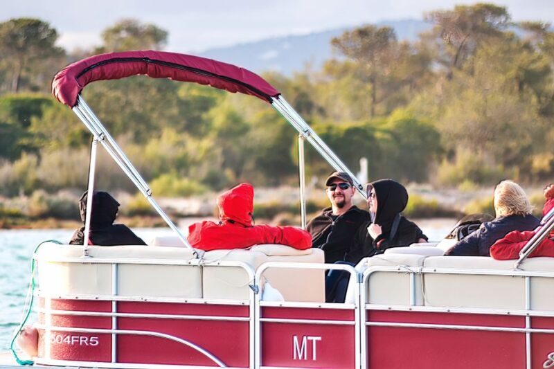 Faro: Ria Formosa Faro Islands Boat Tour - Who Is This Tour Best For?