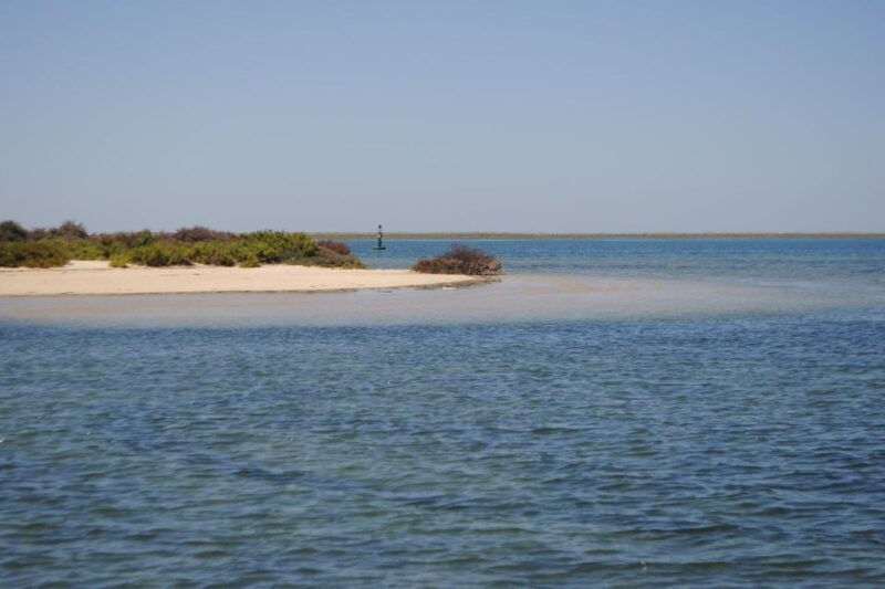Faro: Ria Formosa Lagoon Small Boat Tour with Local Guide - FAQs