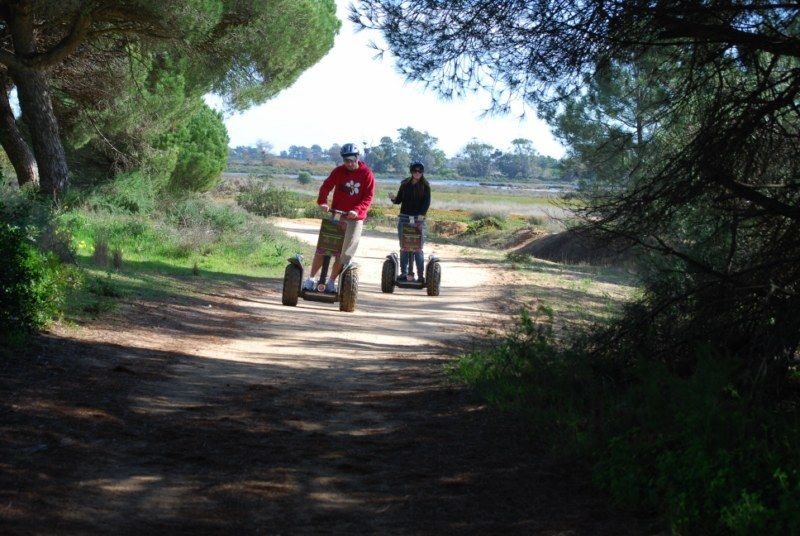Faro: Ria Formosa Natural Park Segway Tour & Birdwatching - Key Points