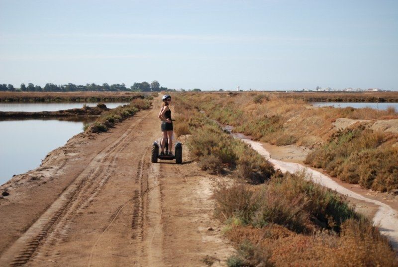 Faro: Ria Formosa Natural Park Segway Tour & Birdwatching - FAQ