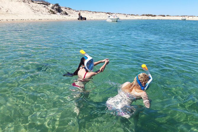 Faro - Ria Formosa tour with visit to 2 islands (Deserta, Farol) 3.5 hours - Who This Tour is Perfect For