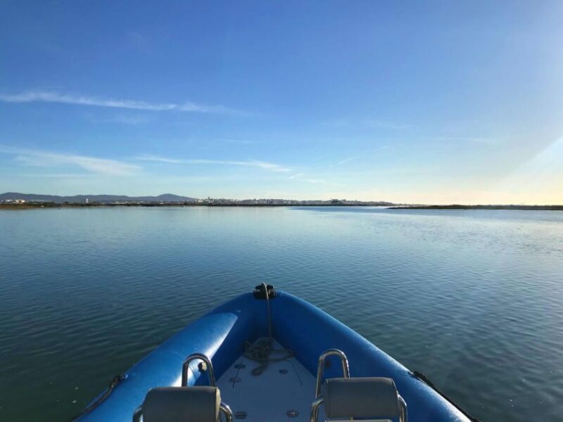 Faro: Speed Boat Tour - What to Expect on the Faro Speed Boat Tour