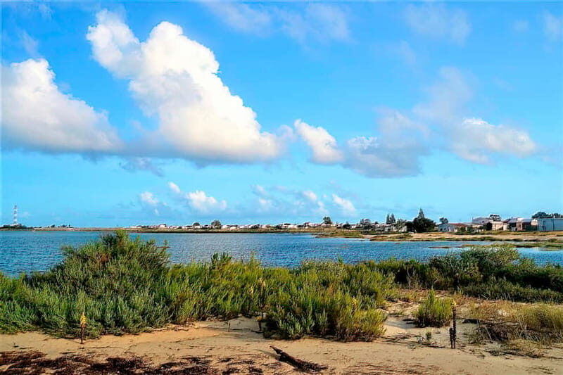 Faro: Sunset 1 hour Ria Formosa Boat Tour - FAQs