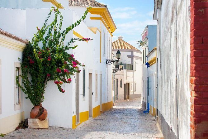 Faro Walking Tour: Uncover the Citys Architectural Legacy - Discovering Faro’s Architectural Gems