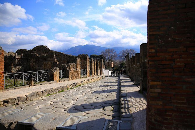 Fast Access Exclusive Private Ancient Pompeii Half Day Tour with Local Guide - Final Thoughts: Who Should Consider This Tour?