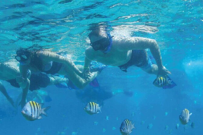 Fast & Fun: Cancun Speedboat Tour with Snorkeling - Who Should Consider This Tour?