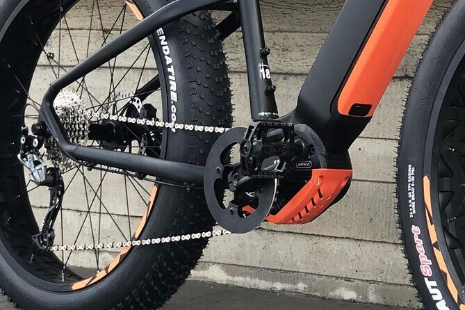 FAT TIRE E-BIKE GREAT TOUR - river, parks & panoramic views tour - Practical Tips for Participants