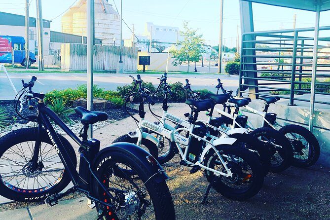 Fat Tire Electric Bike Tour in Vero Beach Florida - Who Would Love This Tour?