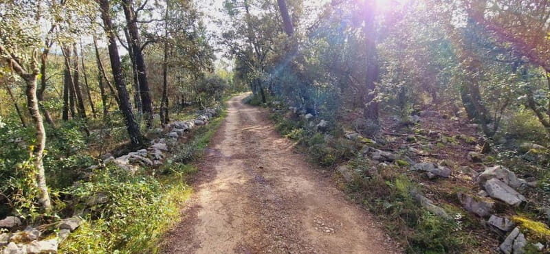 Fátima: E-Bike Tour to Dinosaur Footprints Natural Monument - A Deep Dive into the Experience